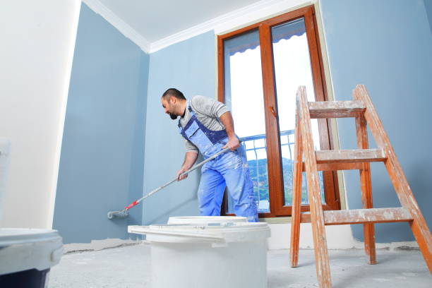  Maple Valley, WA Mold Removal Pros