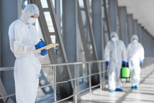 Best Mold Odor Removal Services  in Maple Valley, WA