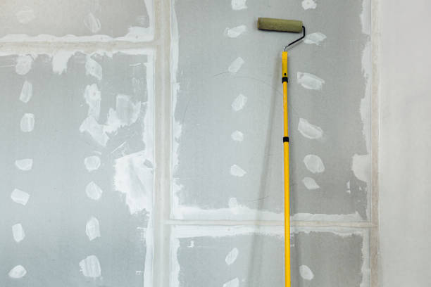 Mold Odor Removal Services in Maple Valley, WA