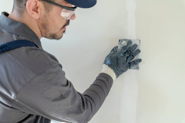 Best Basement Mold Removal  in Maple Valley, WA