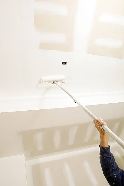 Forensic Mold Investigation in Maple Valley, WA