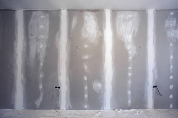 Maple Valley, WA Mold Removal Company