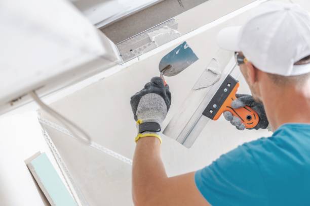 Best Mold Prevention Services  in Maple Valley, WA